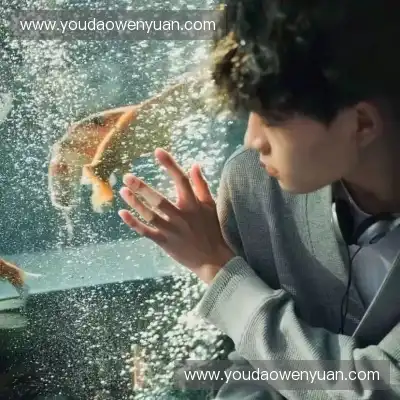窦恋海